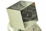 Natural Pyrite Cube In Rock - Navajun, Spain #211388-1